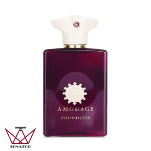 عطر ادکلن آمواج باندلس مردانه Amouage Boundless For Men