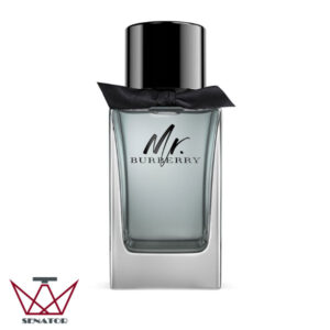 عطر ادکلن باربری مستر باربری Burberry Mr. Burberry