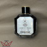 ادکلن آمواج اینترلود اقتصادی مردانه برند راشابویا